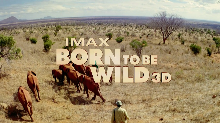 Born to Be Wild HD Trailer