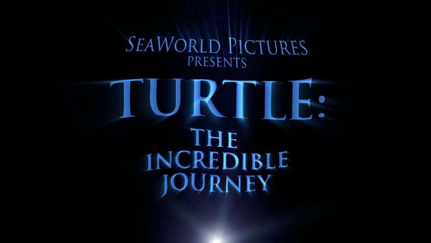 Turtle: The Incredible Journey HD Trailer