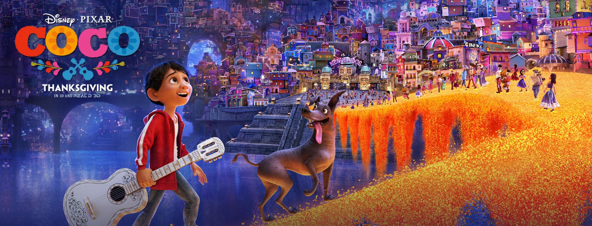 Image result for coco 2017