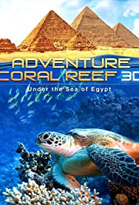 Adventure Coral Reef 3D: Under the Sea of Egypt