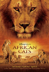 African Cats poster