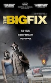 The Big Fix poster