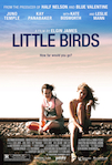 Little Birds poster