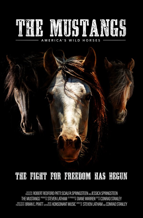 The Mustangs: America’s Wild Horses