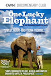 One Lucky Elephant poster