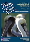 Pelican Dreams poster