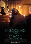 Unlocking the Cage poster